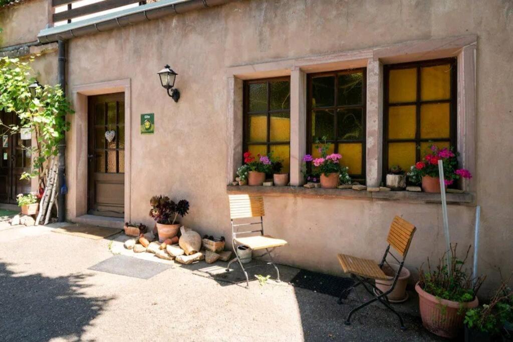 Gite L'Oeuf Ou La Poule, Parking Prive, Sur Domaine Viticole Ribeauville  Exterior photo